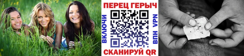 Купить Западная Двина ГЕРОИН VHQ