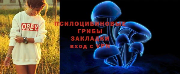 метадон Карпинск