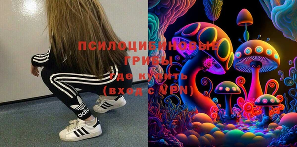 дмт Касимов