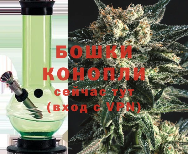 дмт Касимов