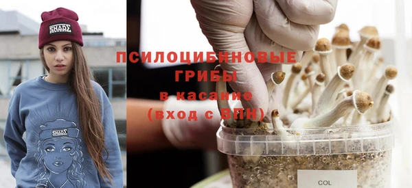 дмт Касимов